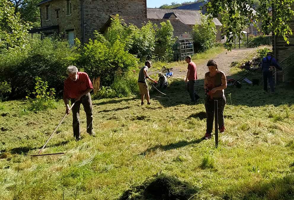 Baranoux au jardin